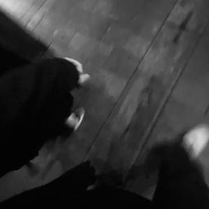 久久久国产精品制服无码
