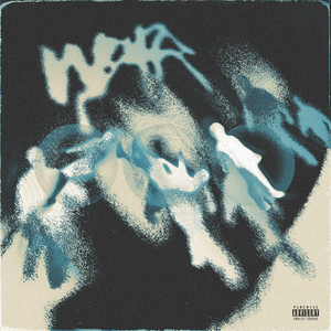 久久久国产精品制服无码
