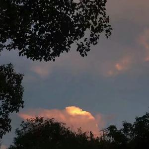 久久久国产精品制服无码
